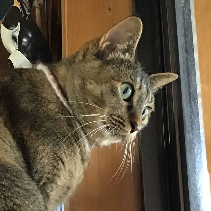 F6eda785 6201 4b1c 8e71 45339985fae3 1659777963056