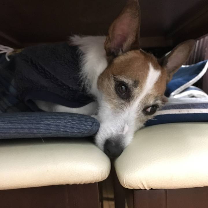 F6edb1b5 6c0a 4339 9c68 91a6ba8f74d6 1554716251180