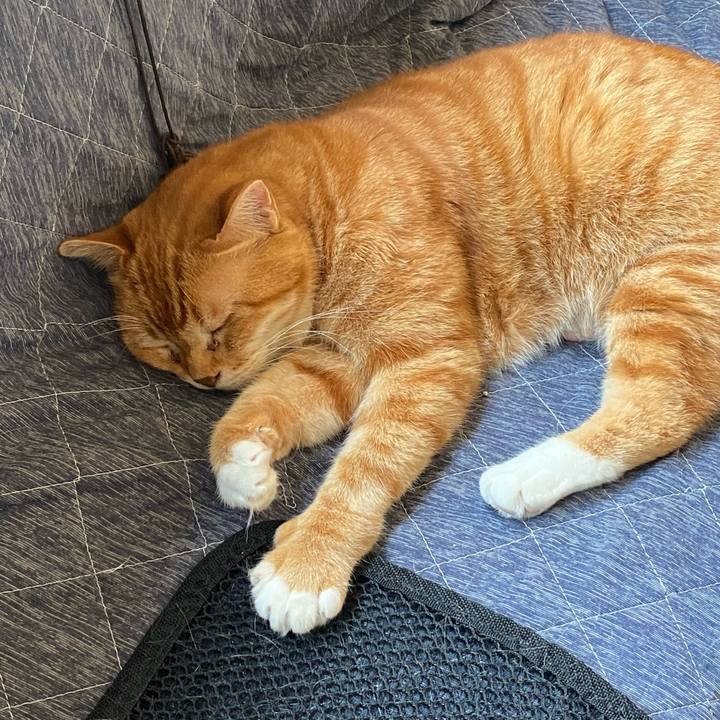 F6edb76f 9ed4 413d a2a4 7ef2ed2f876b 1620975973838