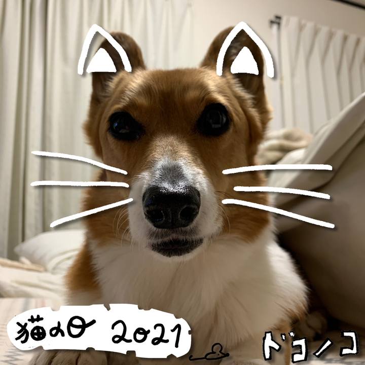 F6edddc7 5edd 4ef7 b579 700cb9467543 1613983429471