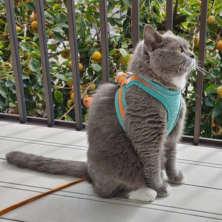 F6edfd1e e7a2 4c73 8381 ac0cd9019913 1729392026375