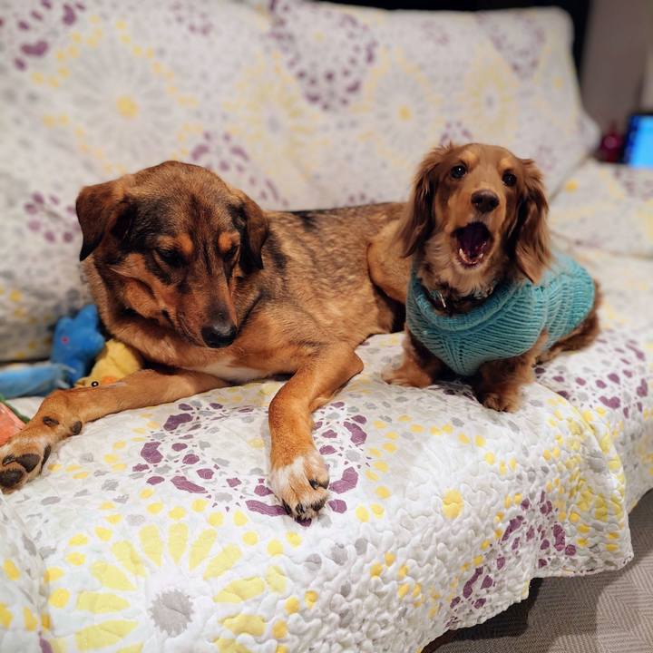 F6ee0431 db1e 4c2f a080 d056c84ca326 1740746903094