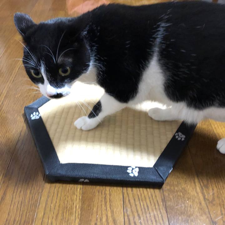 F6ee3040 fac5 405a a838 7d48e09b6bd0 1545393264029