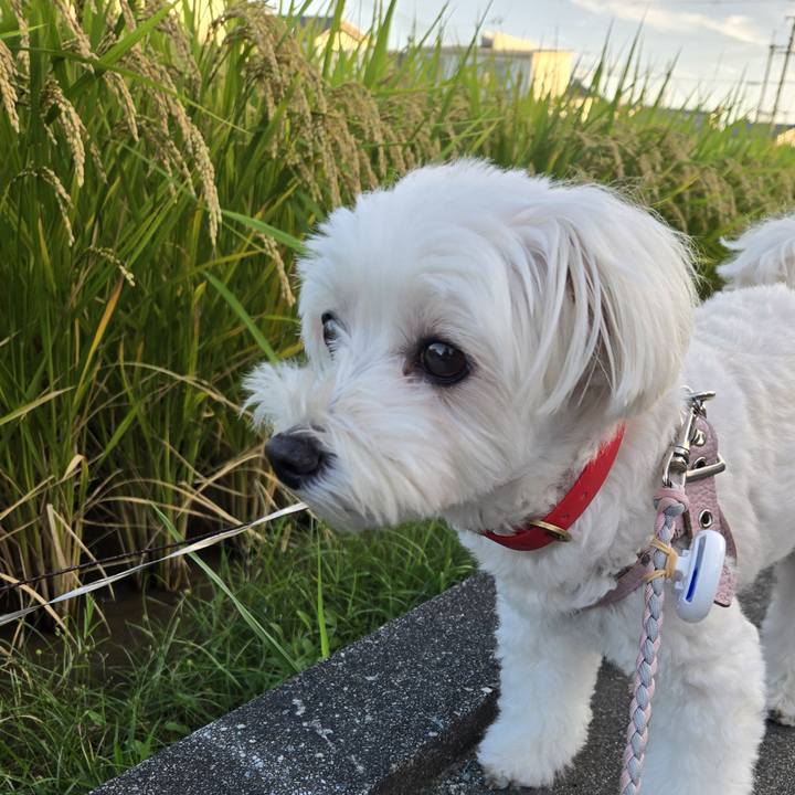 F6ee41a0 41d9 4710 b331 5000dd1d7f1a 1759136266631