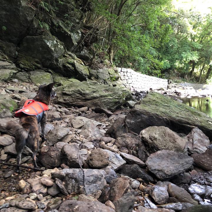 F6ee536e 7d97 4db0 9238 040a49dac3bf 1565416705606