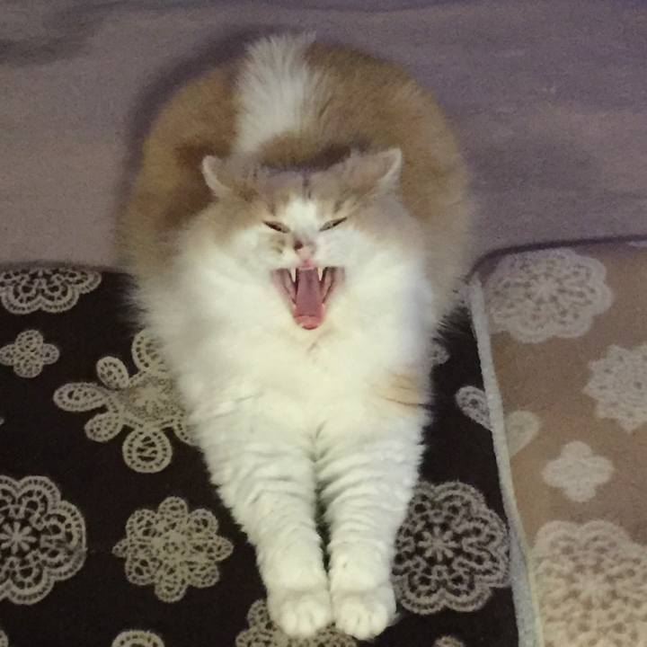 F6ee8960 ff38 4b65 ad00 56199ab5ceec 1561159402483