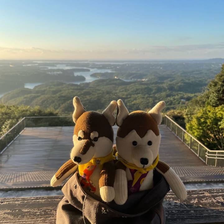 F6ee9b96 6c6d 4356 b2fc 4c4b0cbe6d70 1665915201019