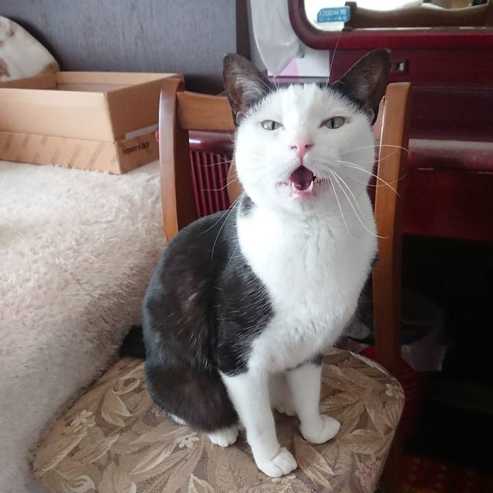 F6eed706 50a7 4a80 8c43 41e7f344a84f 1553220875200