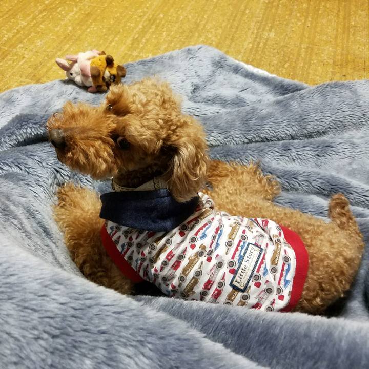 F6eedc29 6971 4e3e 876b 847c401f5532 1516280561754