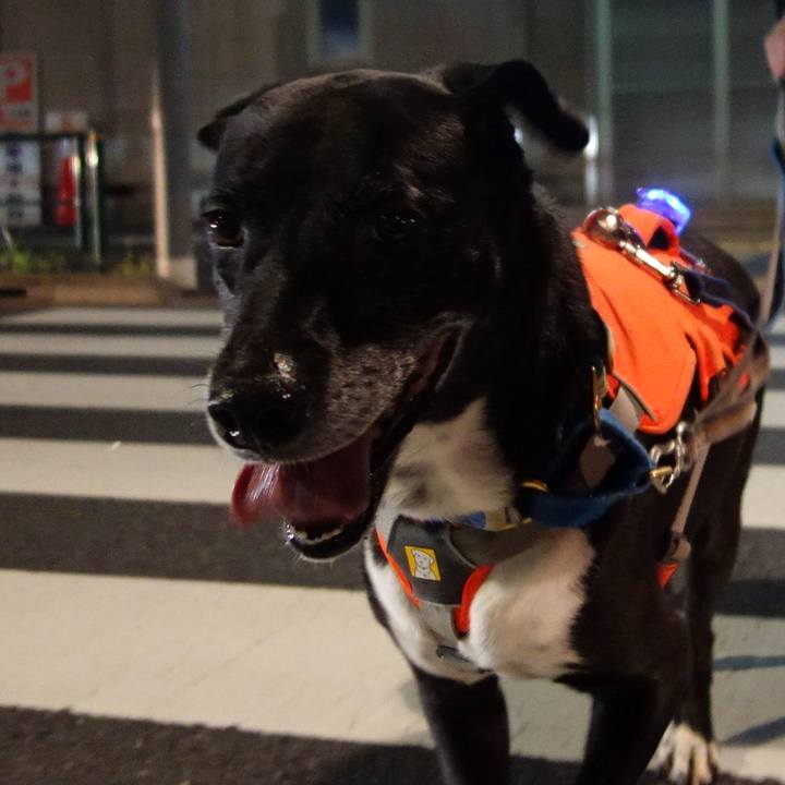 F6ef143f 54e3 470e 8d9d 39649c07826d 1725966145465