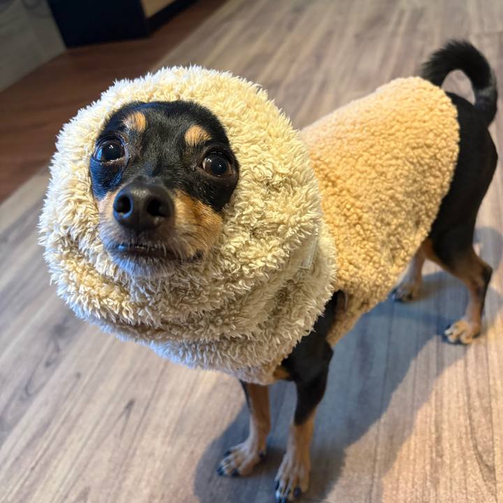 F6ef5e4d d394 49bc a2e5 057064a4a052 1763018426424