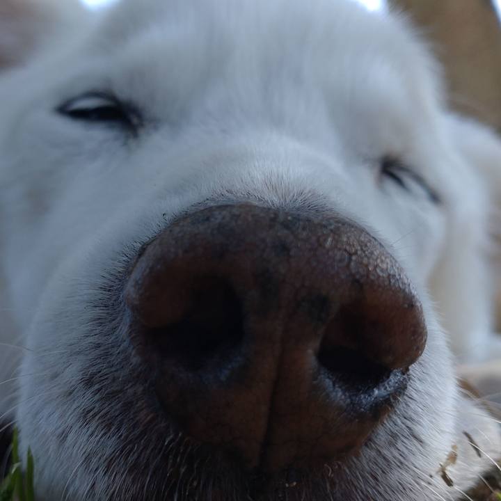 F6efd11a 1bac 4d0f 83e4 dbbdbc3cc330 1649483425044