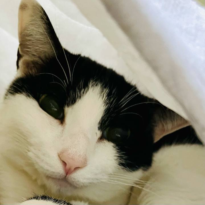 F6efe0ac fa55 4aa8 b37a 0224ddafd464 1615603125551