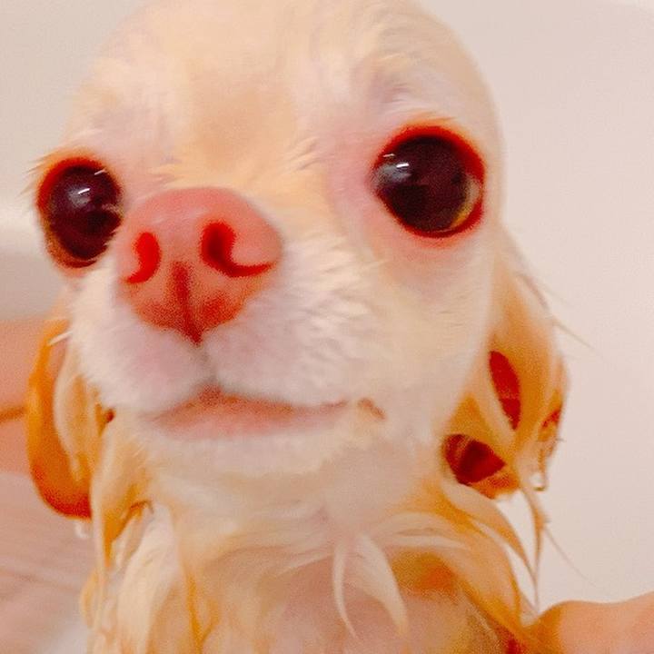 F6f06cb8 68f7 4f45 9bb7 363b512fedb6 1626265671125