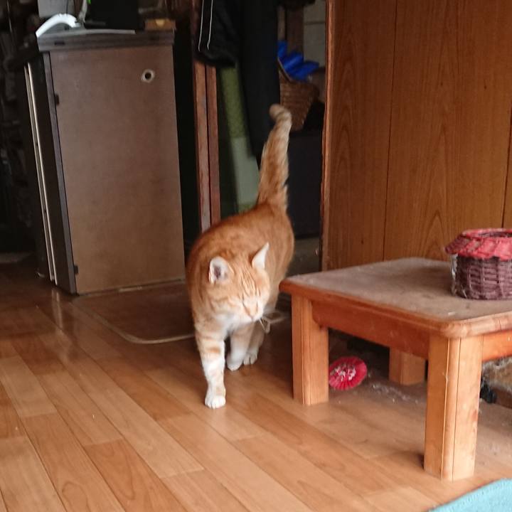 F6f074a0 fefd 4df3 a25c ec4bfd8eaca5 1580530947275