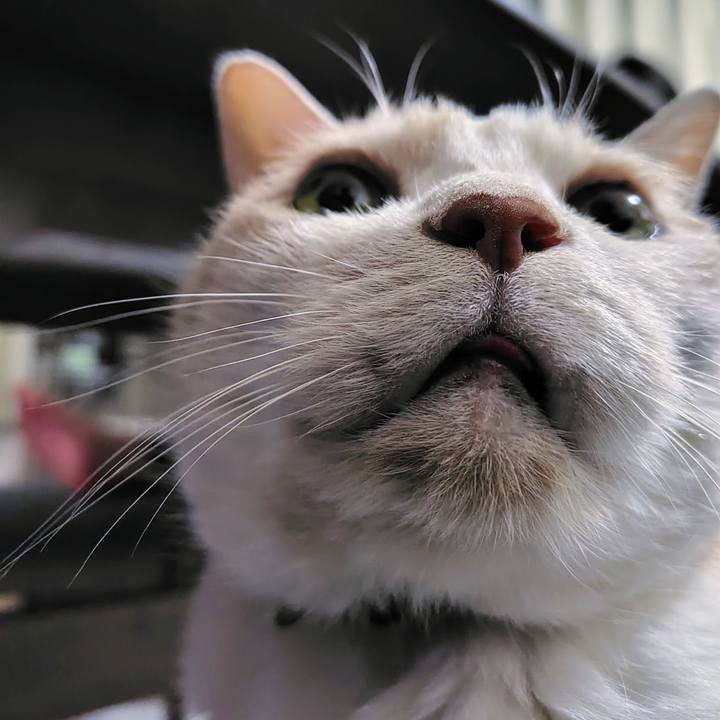 F6f09204 8dc0 40d9 b164 be0901b41643 1715864850597