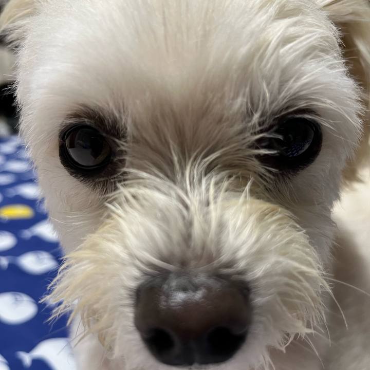 F6f09969 7b5c 4f50 8910 e76431cca9e6 1660395879948