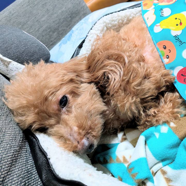 F6f0c709 fa0b 4ecf b4f6 85473c5c79ac 1774610323779