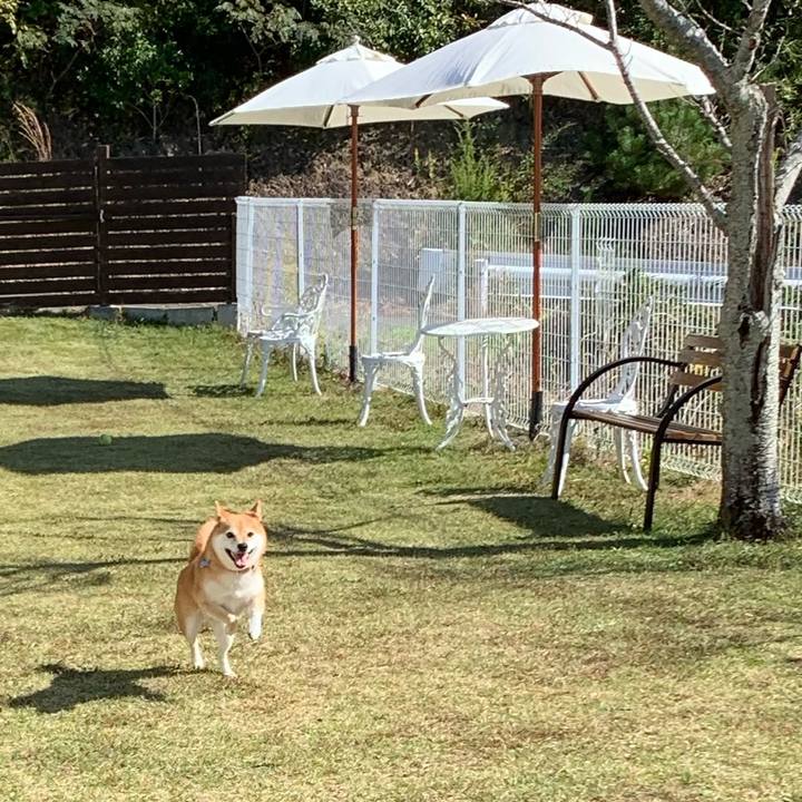 F6f0c88c 9303 4695 aac8 fdbcd033227e 1572937084179