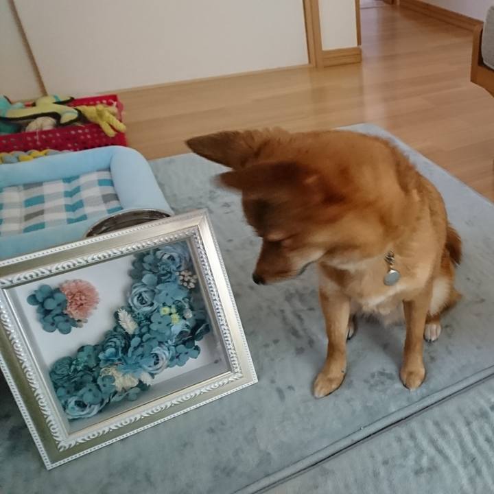 F6f0ff6b ae1f 4525 aefb 36f4ff69276c 1525406151088