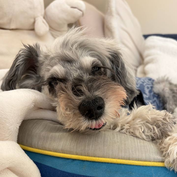 F6f12ca3 f6b2 45f1 99bf 7f9c909bd940 1767417189536