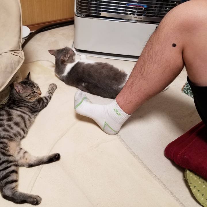 F6f13052 3b6c 49f9 861a 417f7d7b7827 1675765751041