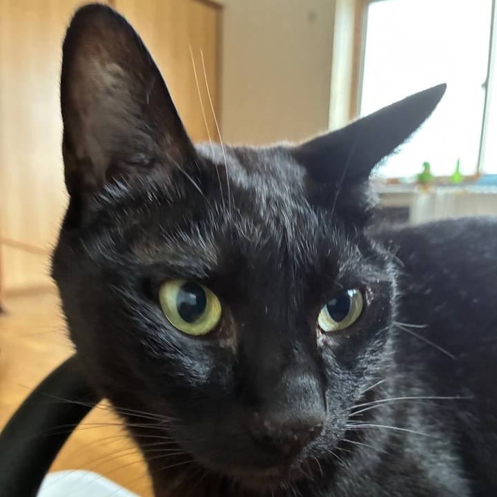 F6f1398e b0b0 428c 88e3 c011b2bd1a19 1750541076367