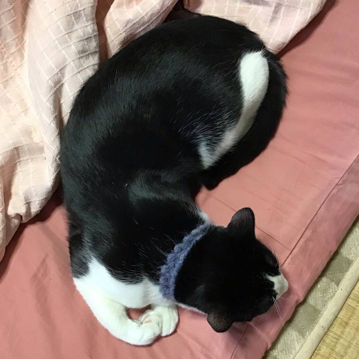 F6f14516 91e5 451a a2a1 311d6716a454 1643170254859