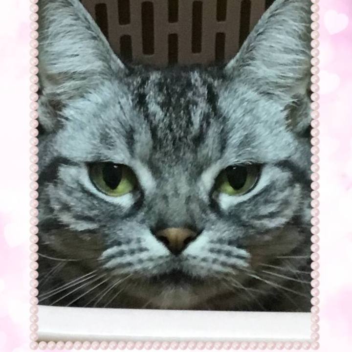 F6f14e65 20bb 4f16 b0ce 3eb3a84889ed 1669457305258