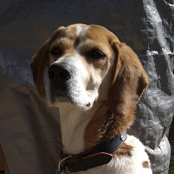 F6f19312 cd10 4945 95e3 9905da028057 1649163698403