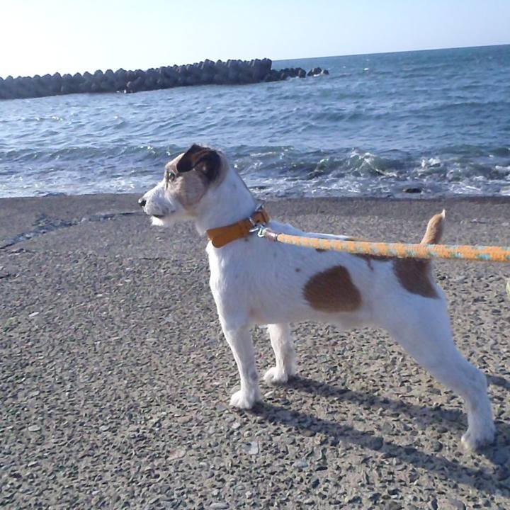 F6f1ab74 60b5 4f23 b3a8 8dd20b16c82a 1527334189511