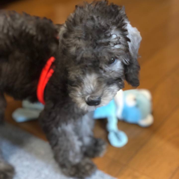 F6f1b412 2436 4690 9987 645d76cbbbc4 1618992998974