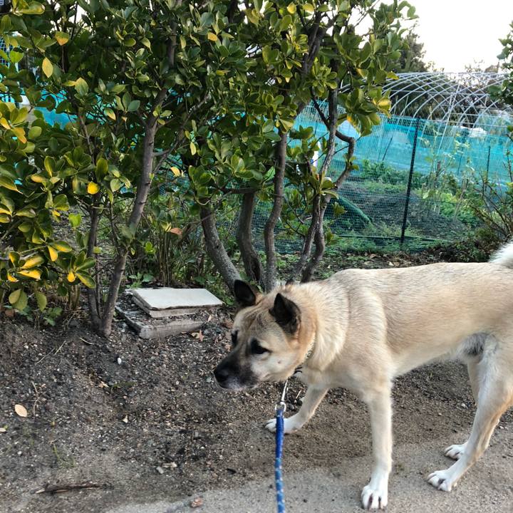 F6f1fea6 f3c0 4e7c a60e 26ced66f9c32 1606739241024