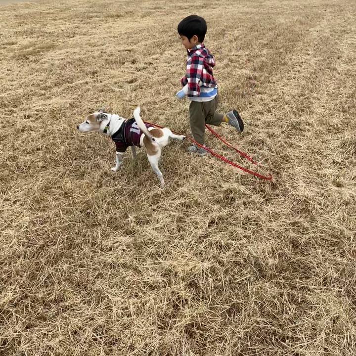 F6f21c4d d0e6 49af 91ba f923df4e808b 1603013079417