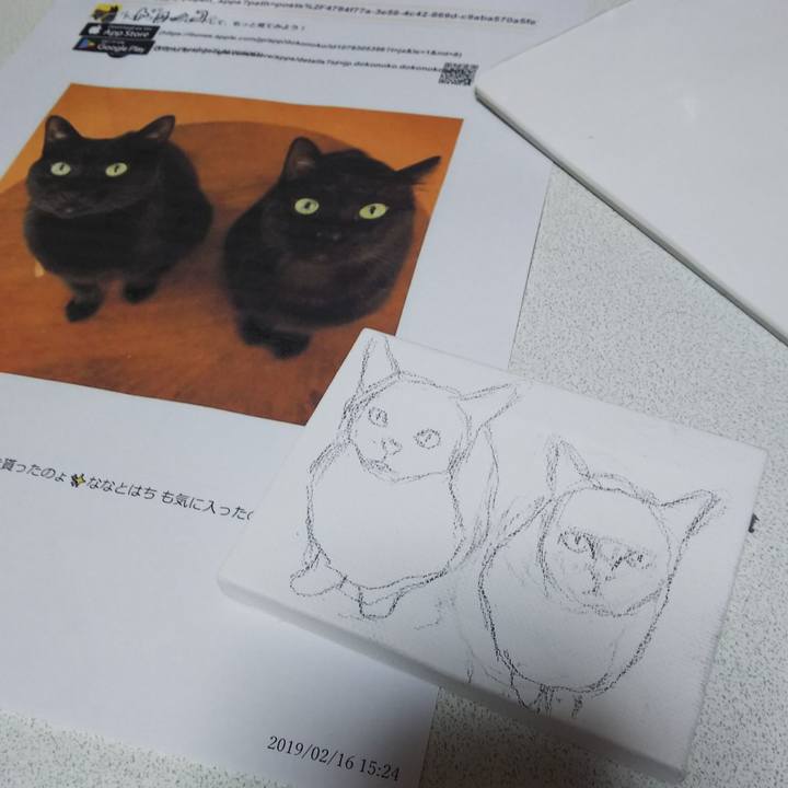 F6f23886 07d3 4128 876a 1496c8406c57 1550303013200