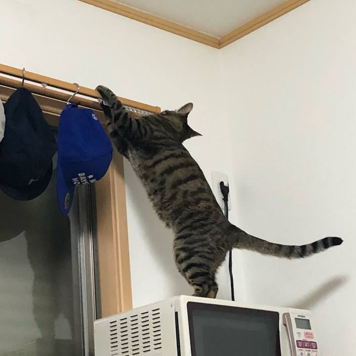 F6f246ea e4e7 4b3c b06a 1a9f08f59a2c 1528690125244