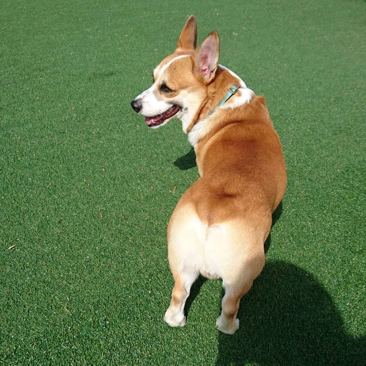 F6f247f7 7ada 4428 89cb a0b3d6428c96 1602915304734