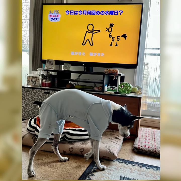 F6f25ead 3b98 44b0 9768 eb79c8a012bf 1647382006750