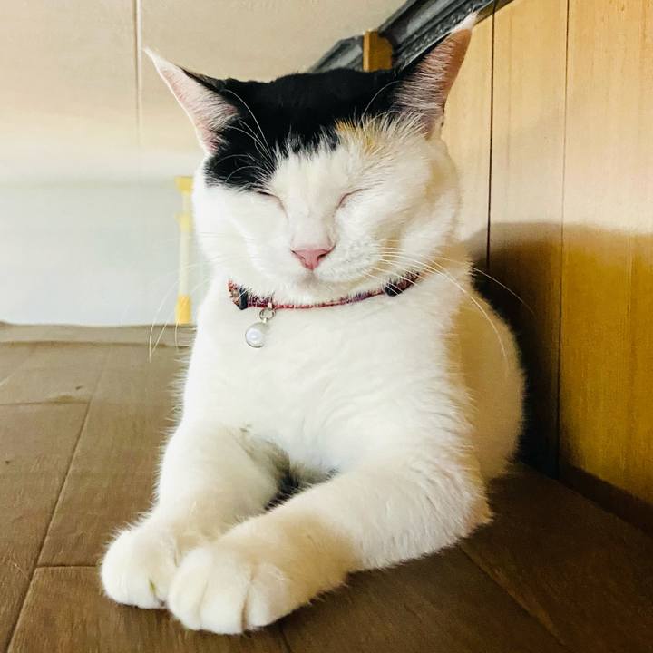 F6f27057 498c 4261 b9f1 bc390243ff2a 1663333459517