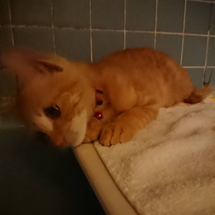 F6f2b68e 322a 49a6 bc8d f98d6e8e2671 1633253577231