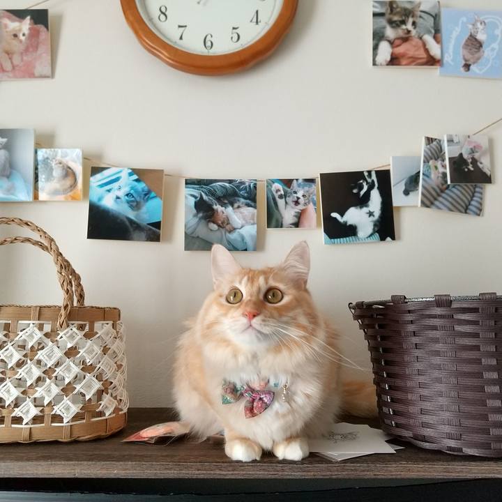 F6f2e167 41f5 42f1 ae8d 633fb1a53c6f 1636768632513