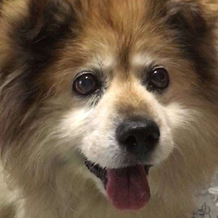 F6f313e6 8c95 479a afa7 b08ec1cc7e4f 1588838204091