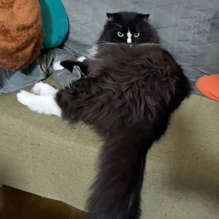 F6f3224c f58d 44f1 9248 2cfa60799141 1729983887086