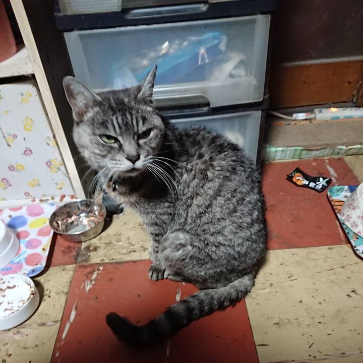 F6f3237b 7c79 45ef 85eb 0ea5cc499f41 1574819916915