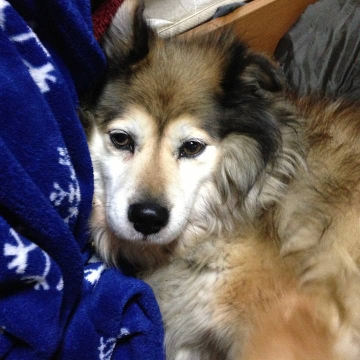 F6f33ddc 3864 4803 bf3c 4fd10ed34762 1577411271503