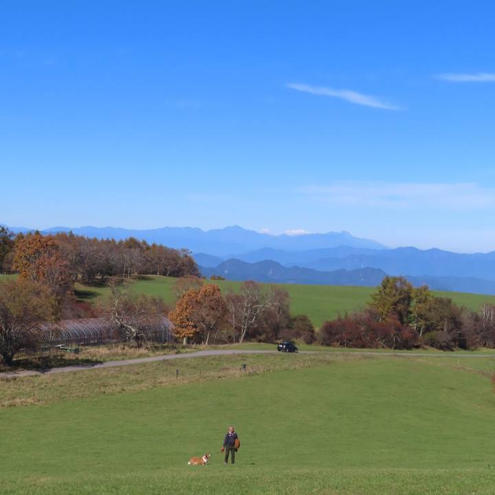 F6f342d8 a452 4cdf a150 cb7589635ab1 1731289878441