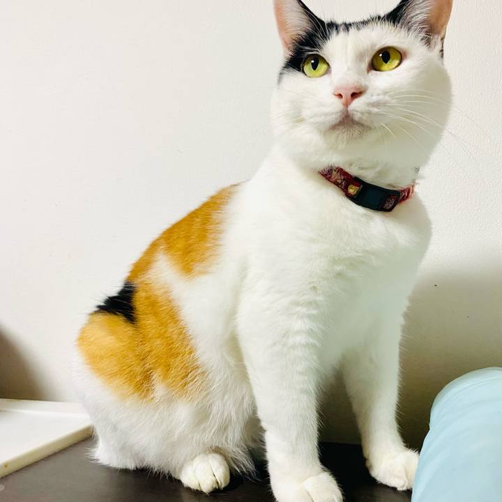 F6f36215 a9fb 414f 8b86 1d5345ad8267 1695743007388