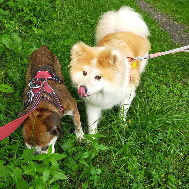 F6f37688 5a9d 4fc4 8272 f2a568540fa2 1655644792558