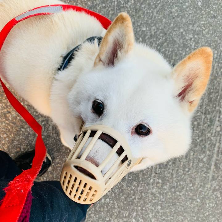 F6f37b52 ae41 44ce 819f f86e2cdcedf5 1629491628369