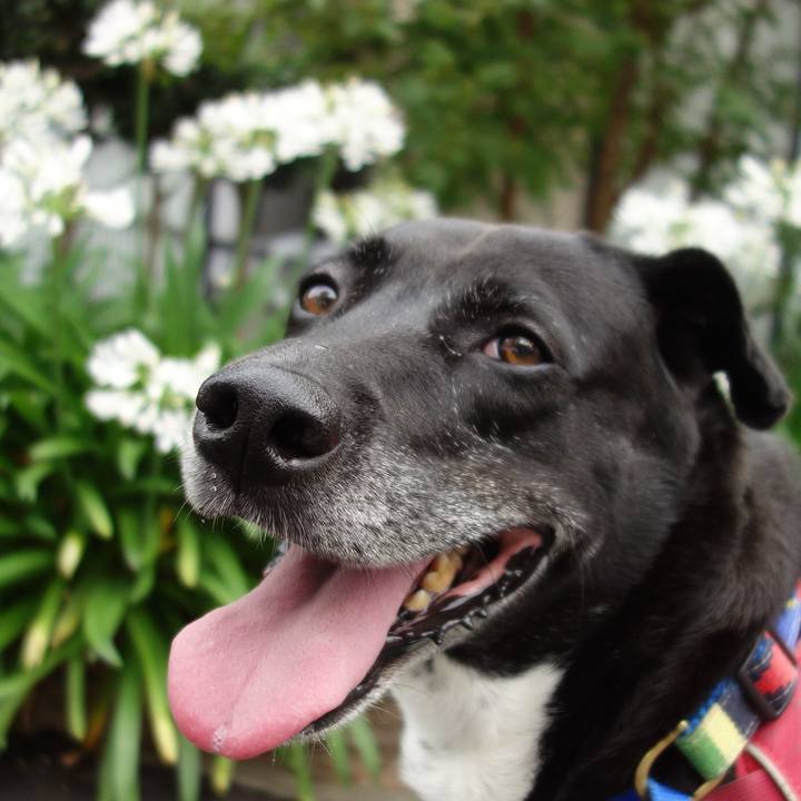 F6f39a08 e1ba 4781 9351 c8d2c0e3c053 1687740141451